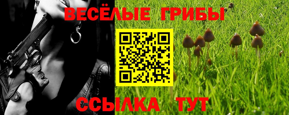 Галлюциногенные грибы ЛСД  Вход с VPN  Галлюциногенные грибы MAGIC MUSHROOMS  Рузаевка 